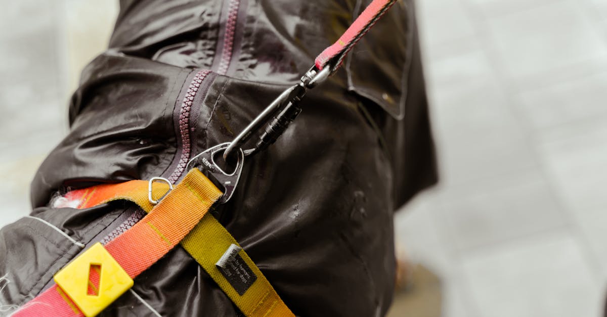 a detailed close up of a dog in a raincoat with a secure leash and harness on a wet day